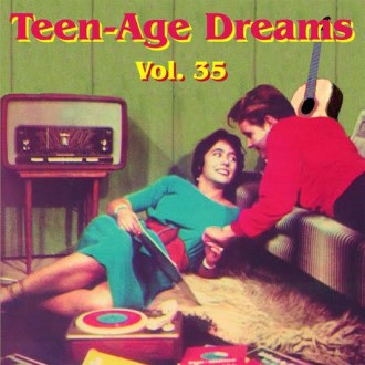 V.A. - Teenage Dreams Vol 35